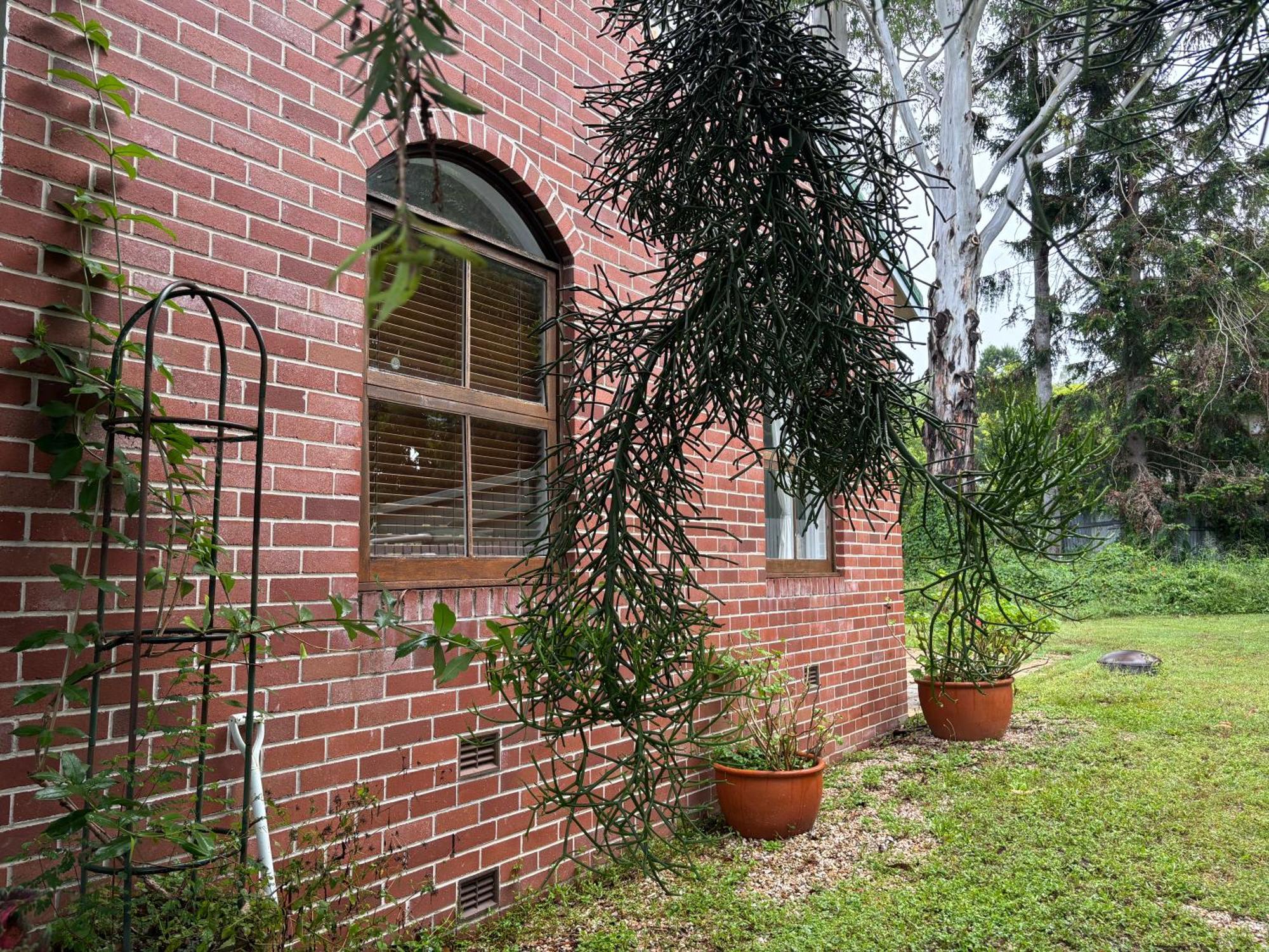 Celestial Dew Guesthouse In Tyalgum Dış mekan fotoğraf