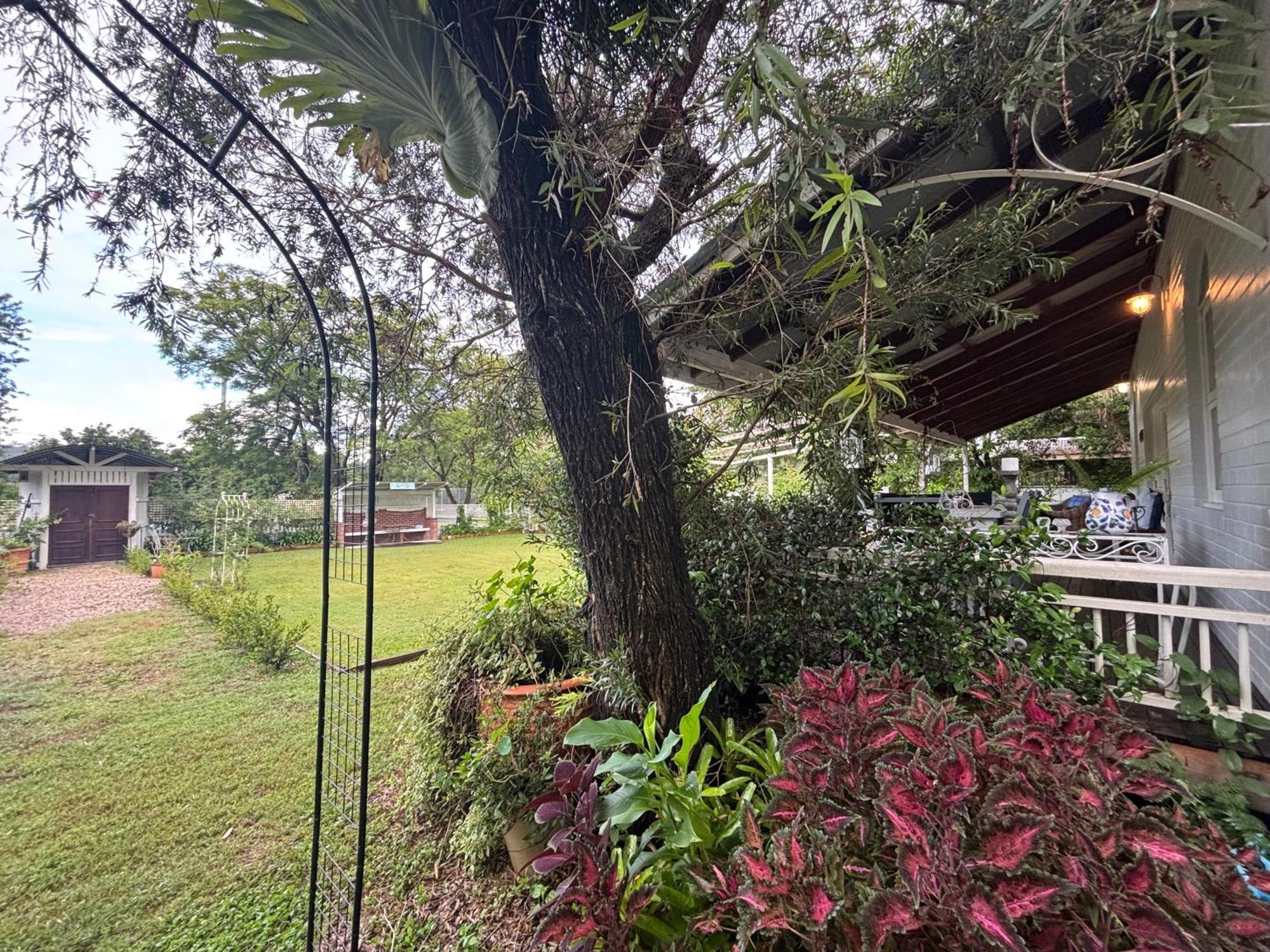 Celestial Dew Guesthouse In Tyalgum Dış mekan fotoğraf