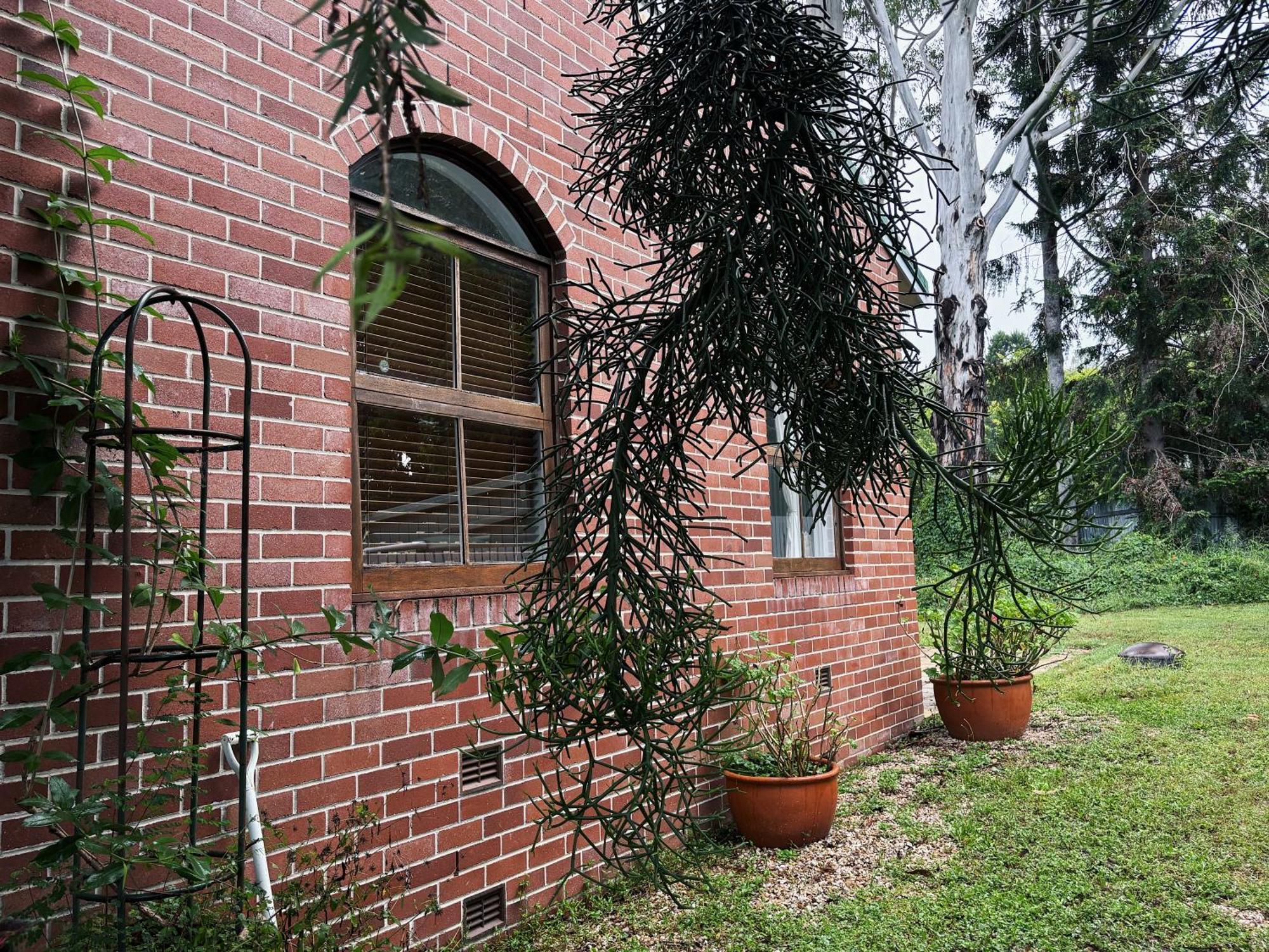 Celestial Dew Guesthouse In Tyalgum Dış mekan fotoğraf