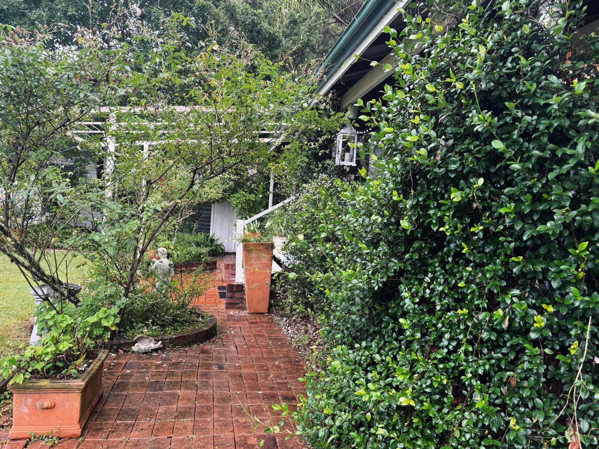 Celestial Dew Guesthouse In Tyalgum Dış mekan fotoğraf