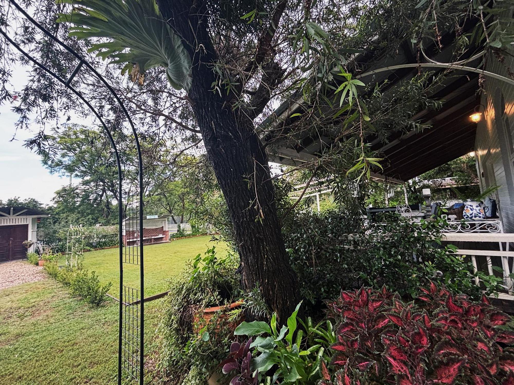 Celestial Dew Guesthouse In Tyalgum Dış mekan fotoğraf
