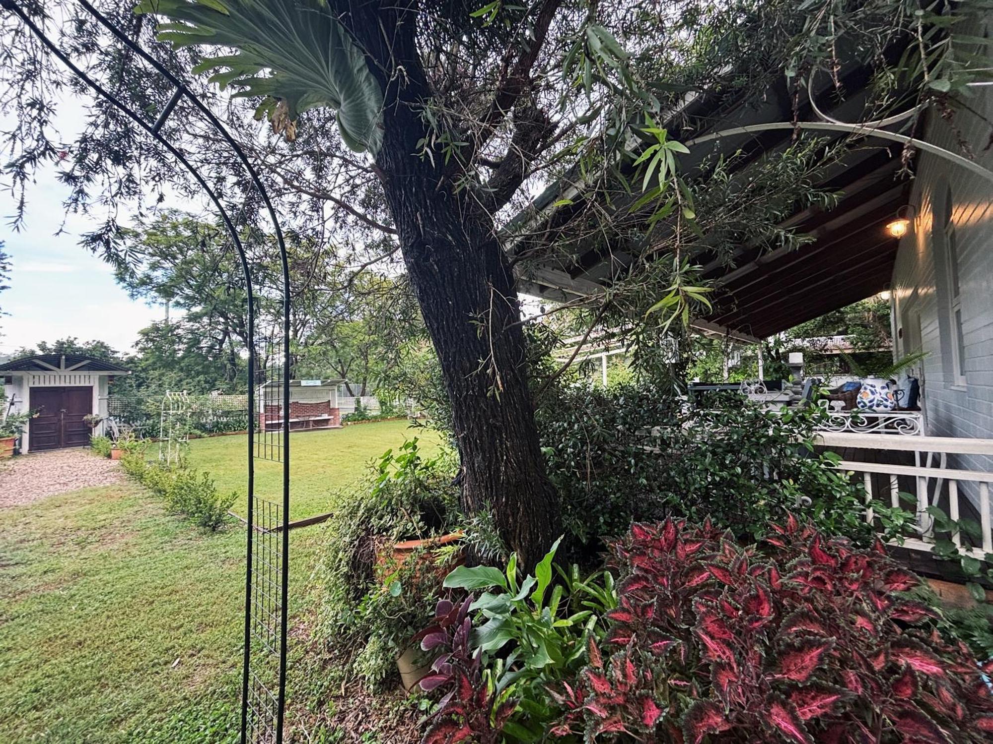 Celestial Dew Guesthouse In Tyalgum Dış mekan fotoğraf
